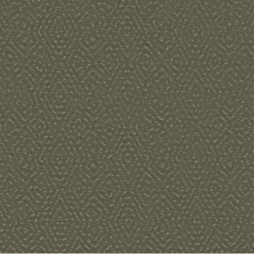 ELABORATE ARTIFACT - Rerooted Nature 00300