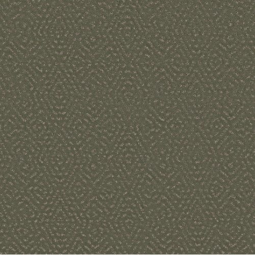 ELABORATE ARTIFACT - Rerooted Nature 00300