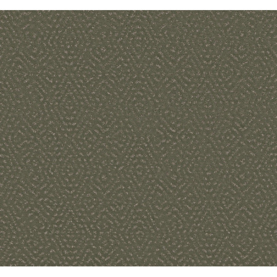 ELABORATE ARTIFACT - Rerooted Nature 00300