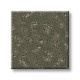ELABORATE ARTIFACT - Rerooted Nature 00300