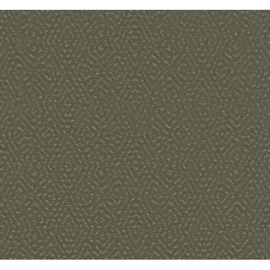 ELABORATE ARTIFACT - Rerooted Nature 00300