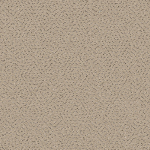 ELABORATE ARTIFACT - Worn Path 00700