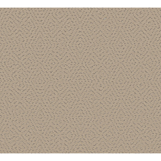 ELABORATE ARTIFACT - Worn Path 00700