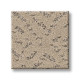 ELABORATE ARTIFACT - Worn Path 00700