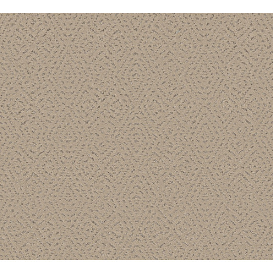 ELABORATE ARTIFACT - Worn Path 00700
