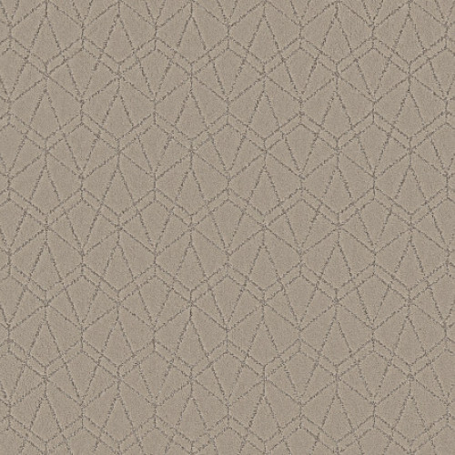 POINT OF VIEW - Chic Greige 00111
