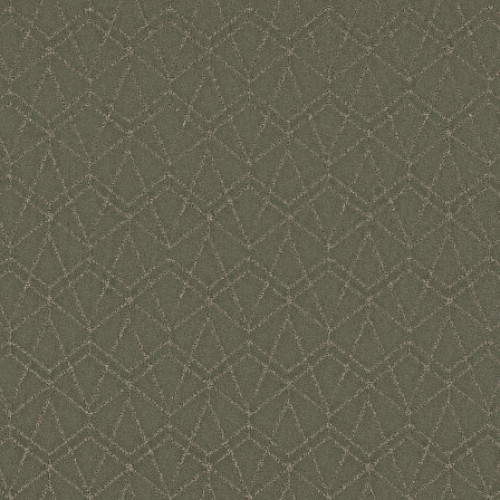 POINT OF VIEW - Rerooted Nature 00300