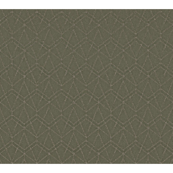 POINT OF VIEW - Rerooted Nature 00300 POINT OF VIEW - Rerooted Nature 00300