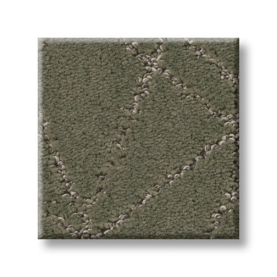 POINT OF VIEW - Rerooted Nature 00300 POINT OF VIEW - Rerooted Nature 00300