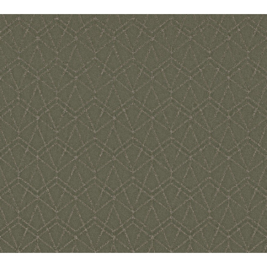 POINT OF VIEW - Rerooted Nature 00300 POINT OF VIEW - Rerooted Nature 00300