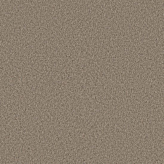 RENEWED ENERGY I - Khaki 00700