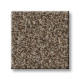 RENEWED ENERGY I - Freckles 00109 RENEWED ENERGY I - Freckles 00109