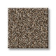 RENEWED ENERGY II - Freckles 00109