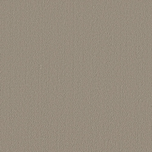 HIGHLAND TWILL - Sandstone 00115