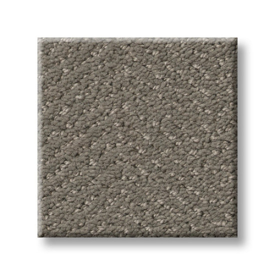 HIGHLAND TWILL - Fallen Acorn 00501