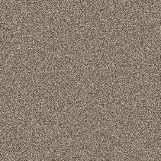 NEW ATTITUDE - Pecan Sandie 00710