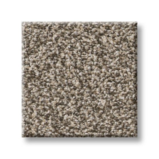 NEW ATTITUDE - Pecan Sandie 00710