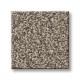 NEW ATTITUDE - Pecan Sandie 00710