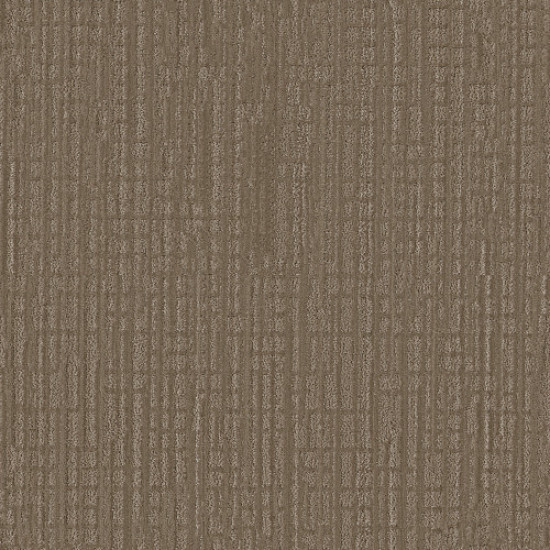 SKYLINE SHIFT - Acorn 00704 SKYLINE SHIFT - Acorn 00704