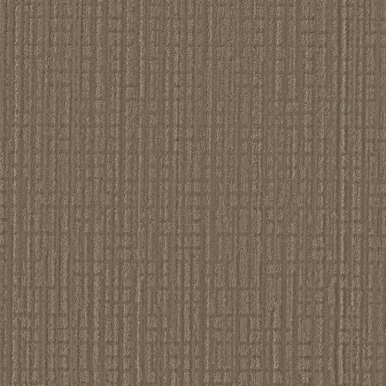 SKYLINE SHIFT - Acorn 00704 SKYLINE SHIFT - Acorn 00704