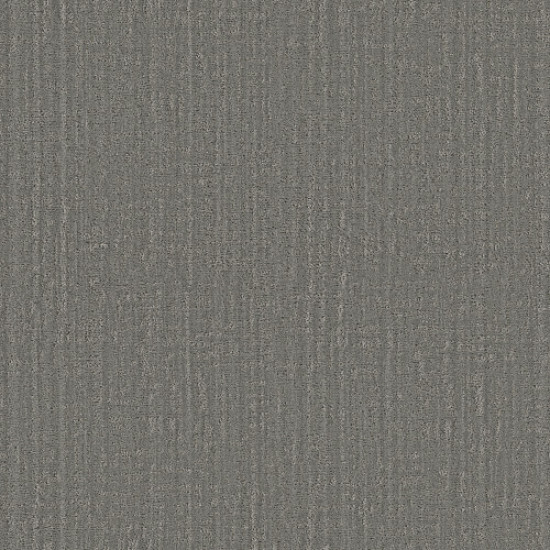 SHADY STROLL - Sheer Taupe 00504