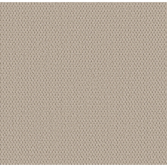 PERSPECTIVE PATH - Bisque 00110 PERSPECTIVE PATH - Bisque 00110