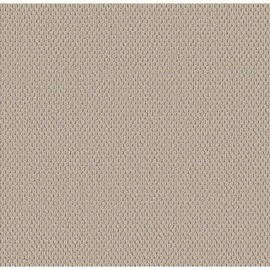 PERSPECTIVE PATH - Bisque 00110 PERSPECTIVE PATH - Bisque 00110