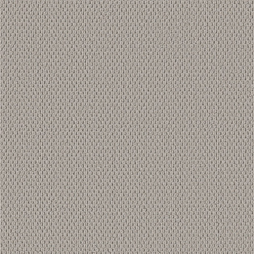 PERSPECTIVE PATH - Quest 00500