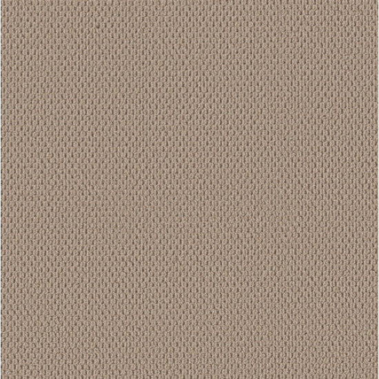 PERSPECTIVE PATH - Worn Path 00720 PERSPECTIVE PATH - Worn Path 00720