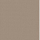 PERSPECTIVE PATH - Worn Path 00720 PERSPECTIVE PATH - Worn Path 00720