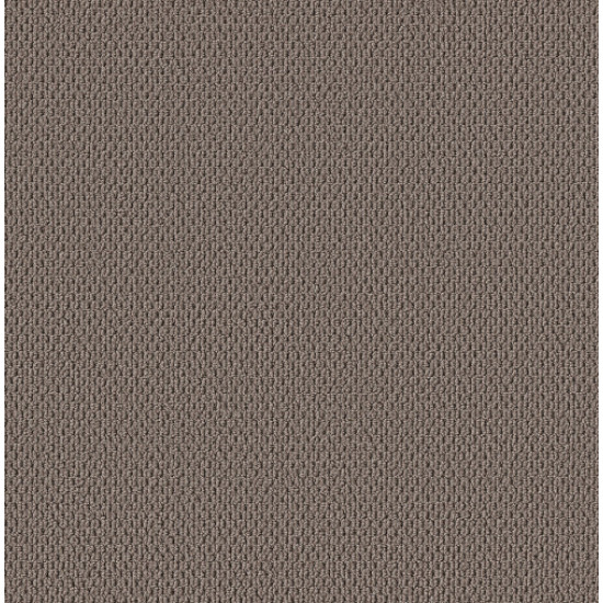 PERSPECTIVE PATH - Cappuccino 00752 PERSPECTIVE PATH - Cappuccino 00752