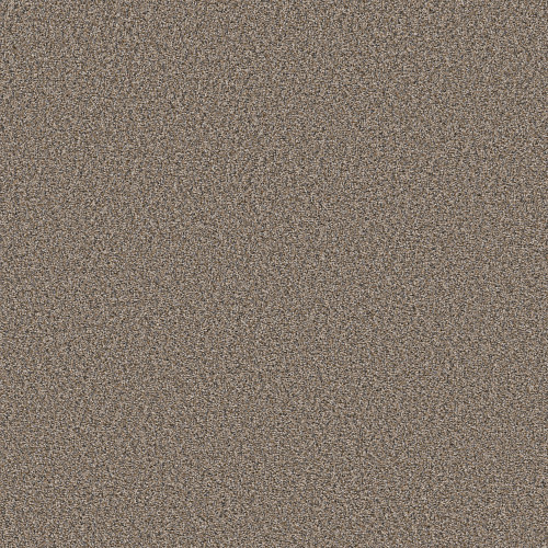 ALWAYS RIGHT I - Goose Feather 00120