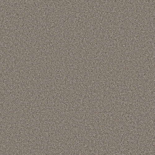 ALWAYS RIGHT I - Graphite 00510