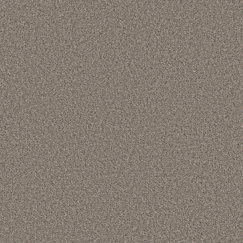 ALWAYS RIGHT I - Graphite 00510