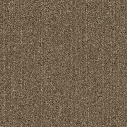 SERENE STRIA - Acorn 00704