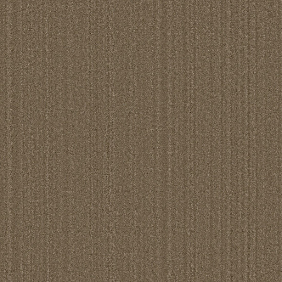 SERENE STRIA - Acorn 00704 SERENE STRIA - Acorn 00704