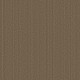 SERENE STRIA - Acorn 00704 SERENE STRIA - Acorn 00704