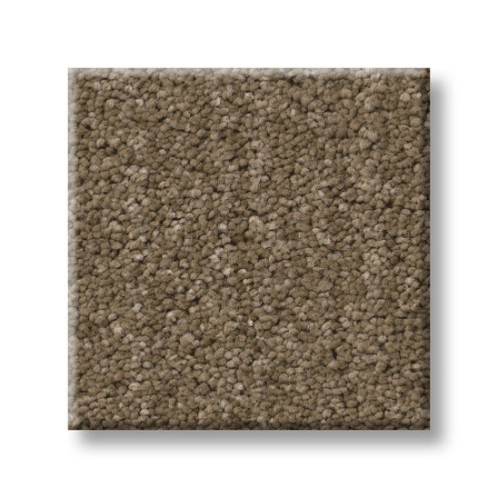SERENE STRIA - Acorn 00704 SERENE STRIA - Acorn 00704