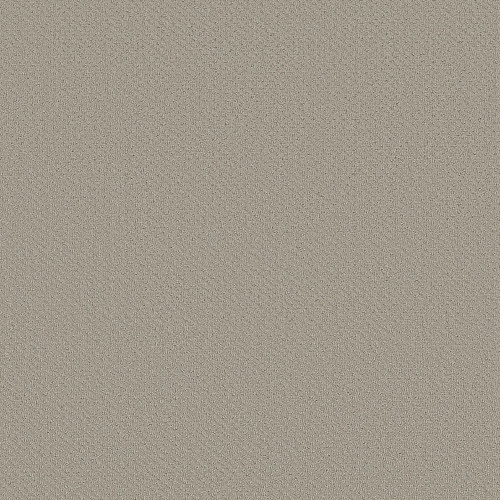INFALLIBLE INSTINCT - Quiet Moment 00175