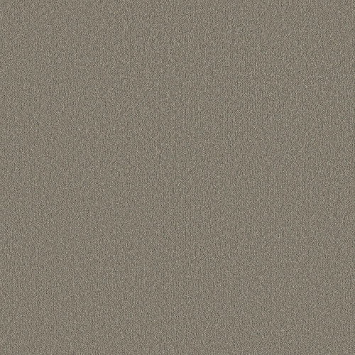 KEEN SENSES II - Lady In Gray 00590
