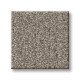 SECRET PASSAGE - Dark Maple 00702