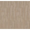 TRANQUIL SPIRIT - Worn Path 00700