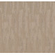 TRANQUIL SPIRIT - Worn Path 00700