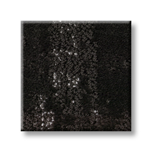 TRANQUIL SPIRIT - Cafe Noir 00706