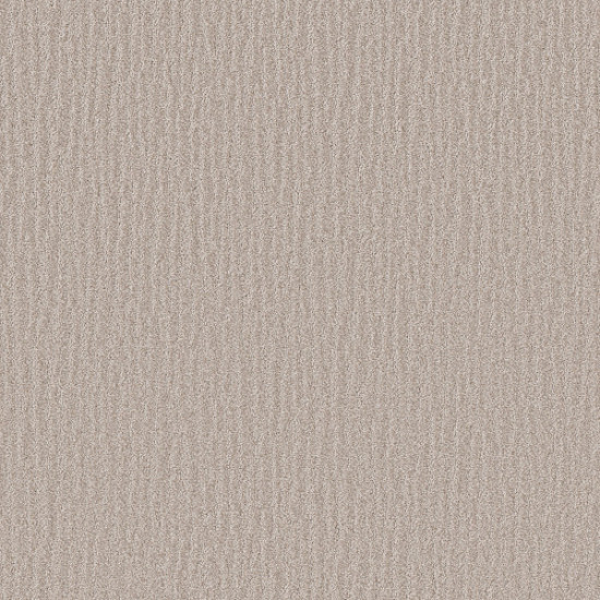 NATURE WITHIN - Shoreline 00106