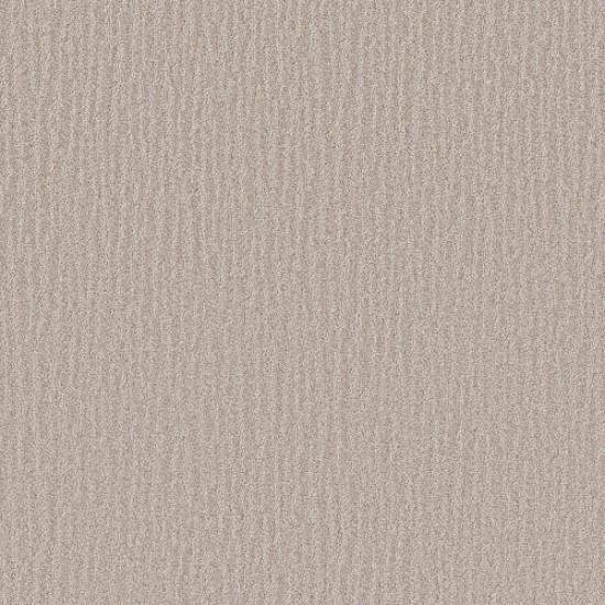 NATURE WITHIN - Shoreline 00106