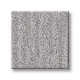 NATURE WITHIN - Silver Lining 00500 NATURE WITHIN - Silver Lining 00500