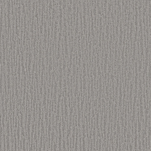 NATURE WITHIN - Grey Fox 00504