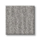 NATURE WITHIN - Grey Fox 00504 NATURE WITHIN - Grey Fox 00504