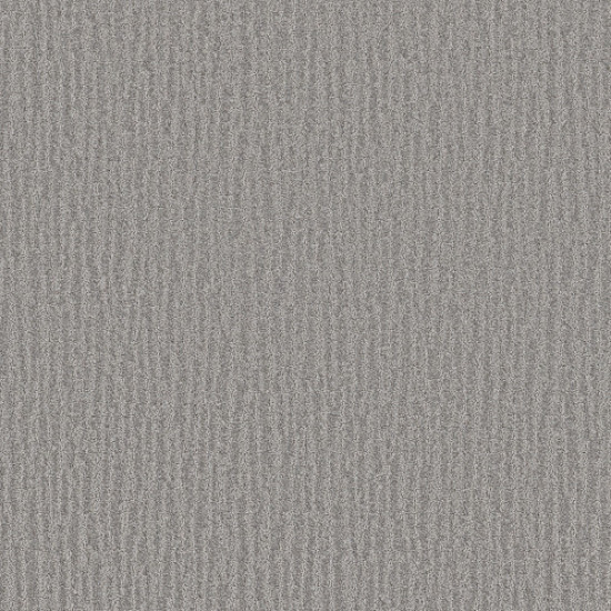 NATURE WITHIN - Grey Fox 00504 NATURE WITHIN - Grey Fox 00504